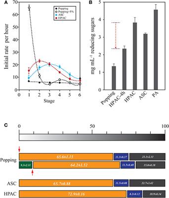 Hydrolysis Patterns of Xylem Tissues of Hardwood Pretreated With Acetic Acid and Hydrogen Peroxide